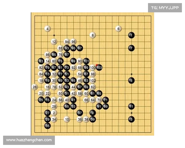 2015年围棋赛事辉煌篇章全球顶尖棋手竞逐巅峰荣耀时刻回顾 2015年围棋赛事辉煌篇章全球顶尖棋手竞逐巅峰荣耀时刻回顾