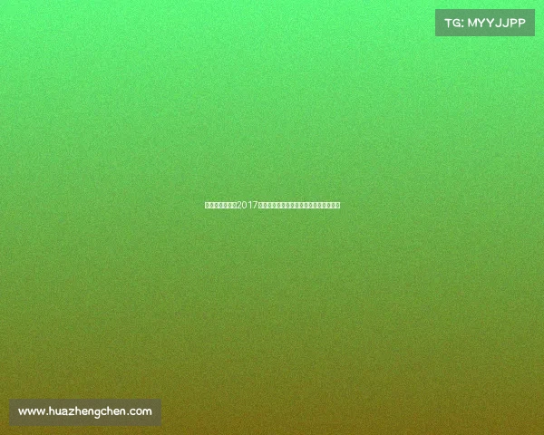 湖北女子排球队2017年征战国内外赛事奋勇拼搏铸就辉煌纪实