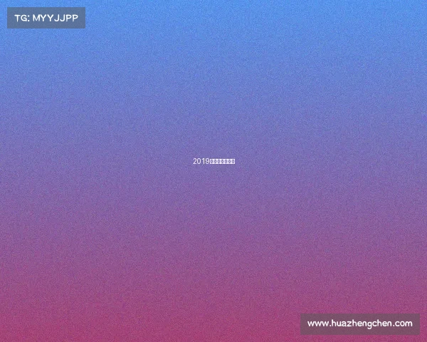 2019女排赛事时间表