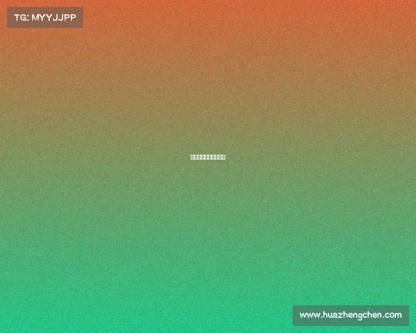 体育赛事申办报告流程