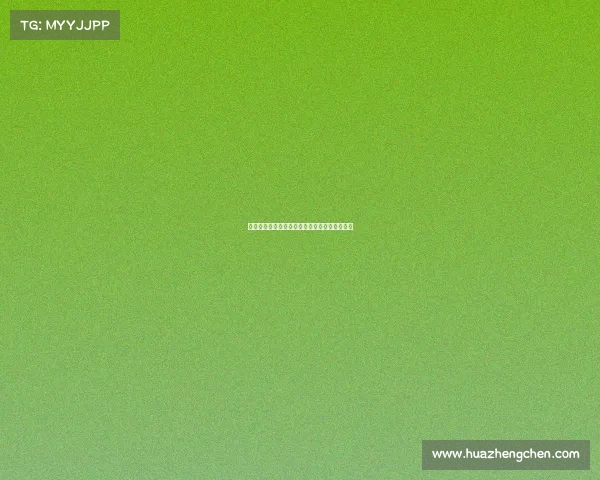 最新的武林风赛事—最新的武林风赛事是哪一年